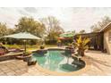 Spacious outdoor pool and patio area with umbrellas and lush landscaping at 10405 N Woodmere Rd, Tampa, FL 33617