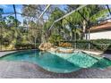 Relaxing screened pool and spa with waterfall feature at 11938 Royce Waterford Cir, Tampa, FL 33626