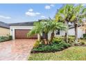 House exterior with brick driveway and palm trees at 31703 Cabana Rye Ave, San Antonio, FL 33576