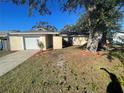 House exterior showcasing a large tree and driveway at 5205 Landsman Ave, Tampa, FL 33625