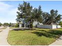 Two-story house with a green exterior and a large tree in front at 13458 Graham Yarden Dr, Riverview, FL 33579