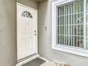 White front door with a window and sidelights at 5832 Red Cedar Ln, Tampa, FL 33625