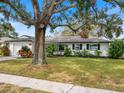 White house with green lawn and large shade tree at 1768 Algonquin Dr, Clearwater, FL 33755