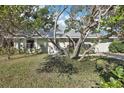 House with mature tree and grassy yard at 2300 Lancaster Dr, Clearwater, FL 33764