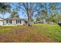 Side view of house with large tree at 3915 W Pearl Ave, Tampa, FL 33611