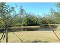 Peaceful waterfront view with lush green landscape at 16843 Forge Surf St, Land O Lakes, FL 34638