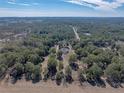 Aerial view of house nestled in a large lot with trees at 35351 Nina Sue Ln, Dade City, FL 33523