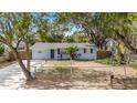 Quaint light blue house with a spacious yard at 3612 Phillips St, Tampa, FL 33619
