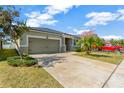 House exterior showcasing a green color scheme, landscaping, and a spacious driveway at 13122 Satin Lily Dr, Riverview, FL 33579