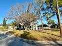Green house with a large tree in front and a grassy yard at 1599 Arizona Ne Ave, St Petersburg, FL 33703