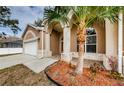 Landscaped front yard with palm tree and tile walkway at 1833 Hillcrest St, Tarpon Springs, FL 34689