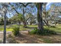 Mature oak trees and lush landscaping in the front yard at 405 Chastain Rd, Seffner, FL 33584