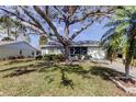 Quaint house nestled on a grassy lot, shaded by a large oak tree at 4175 104 N Ave, Clearwater, FL 33762