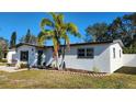 Single story house with a palm tree and updated windows at 4119 Harrisburg Ne St, St Petersburg, FL 33703