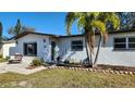 Updated single story home with landscaping and a palm tree at 4119 Harrisburg Ne St, St Petersburg, FL 33703