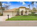 Stunning home with palm trees and a well-maintained lawn at 2867 Grey Oaks Blvd, Tarpon Springs, FL 34688