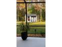 Relaxing screened patio with view of backyard shed and trees at 10880 Cory Lake Dr, Tampa, FL 33647