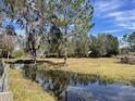 Open pasture with mature trees and a tranquil pond at 6614 Papa Guy Ln, Plant City, FL 33565