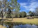Open pasture with mature trees and a tranquil pond at 6614 Papa Guy Ln, Plant City, FL 33565