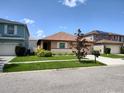 One-story house with a brown roof, green lawn, and magnolia tree at 13504 Red Ear Ct, Riverview, FL 33569