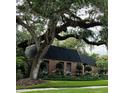 Brick home with black roof and landscaping under large oak tree at 807 Grove Park Ave, Tampa, FL 33609