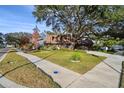 Home exterior view, showcasing curb appeal and landscaping at 1455 Briarwood Ct, Safety Harbor, FL 34695