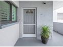 Condo entry with gray door, screen, and potted plant at 4823 Ebbtide Ln # 403, Port Richey, FL 34668