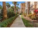 Landscaped walkway with tropical plants at 1203 Bay Club Cir # 1203, Tampa, FL 33607