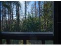 View of wooded backyard seen from screened porch at 1433 Pine Glen Pl # G2, Tarpon Springs, FL 34688