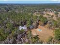 Aerial view of house, pool, and surrounding wooded area at 19256 Hidden Oaks Dr, Brooksville, FL 34604