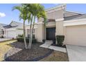 Front view of a tan house with a black door and palm trees at 12317 Cedarfield Dr, Riverview, FL 33579