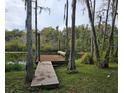 Wooden dock extending over calm water at 21732 Bell Lake Rd, Land O Lakes, FL 34639