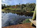 Serene view of a pond with lush vegetation at 21732 Bell Lake Rd, Land O Lakes, FL 34639