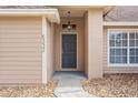Gray front door with a light fixture, and stone walkway at 5332 Nutcracker Cir, Land O Lakes, FL 34639