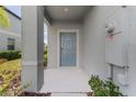 Front entry with blue door and small porch at 7227 Sweet Alyssum Ct, Tampa, FL 33619