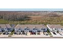 Row of townhouses viewed from above, showcasing community layout at 32241 Turtle Grace Loop, Wesley Chapel, FL 33545