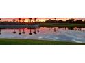 Peaceful lake view at sunset with palm trees reflected in water at 5629 Maidenstone Way, Palmetto, FL 34221
