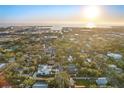 Expansive aerial view of a neighborhood with mature trees, cityscapes, and the sun rising over the ocean in the distance at 612 12Th S Ave, St Petersburg, FL 33701