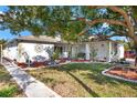 House exterior showcasing landscaping and large shade tree at 9445 Barnstead Ln, Port Richey, FL 34668
