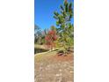 Landscaped pond with lush trees and greenery at 2933 Jacob Crossing Ln, Holiday, FL 34691