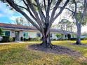 Row of light beige single-story homes with mature trees and grassy yard at 1000 Dunrobin Dr # C, Palm Harbor, FL 34684