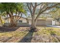 Ranch style home with mature oak and palm trees in front yard at 2215 Cedar Dr, Dunedin, FL 34698