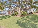 Well-kept single-story home with mature landscaping and a large shade tree in the front yard at 807 Cavemill Way, Tarpon Springs, FL 34689