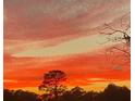 Stunning sunset view over the property's tree line at 9445 Southern Belle Dr, Weeki Wachee, FL 34613