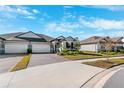 Community view of homes with gray siding and landscaping at 9846 Red Bay Loop, Land O Lakes, FL 34637