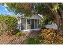 Front yard featuring a screened-in porch, mature tree, and lush landscaping at 2907 Clinton S St, Gulfport, FL 33707