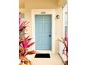 Teal front door with white trim and landscaping at 5010 Cactus Needle Ln, Wesley Chapel, FL 33544