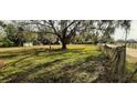 Vacant lot with mature trees and a chain link fence at 35204 Ponderosa Rd, Zephyrhills, FL 33541