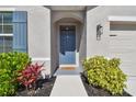 Inviting front door entry with blue door and landscaping at 9114 Forge Breeze Loop, Wesley Chapel, FL 33545