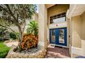 Two-story house with a blue double front door and landscaping at 1553 Regal Mist Loop, Trinity, FL 34655